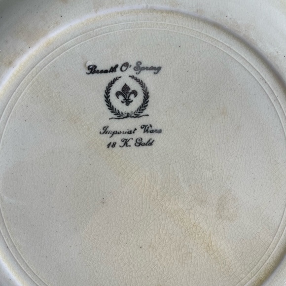 Imperial ware porcelain breath o spring dinner plates yellow 11 plates 1930s - Picture 15 of 17
